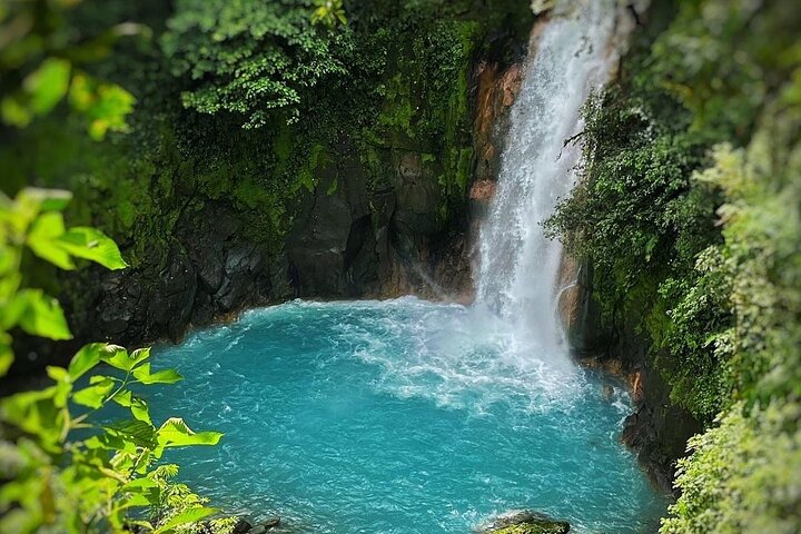 Rain Forest Hike: Rio Celeste Waterfall, Sloth & Butterfly Farm  - Photo 1 of 25